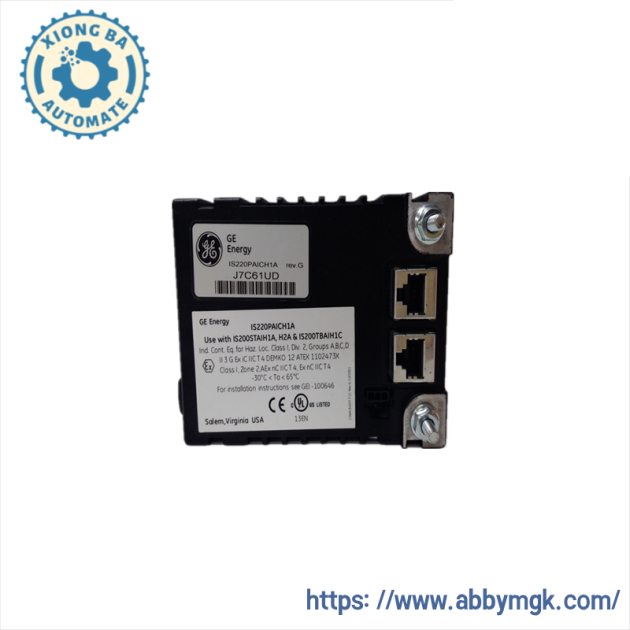 GE IS220PAICH1A: High-Performance Analog Input/Output Board for Industrial Control Systems